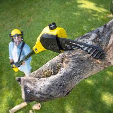 Lawn Maintenance Plans in Churchville, PA